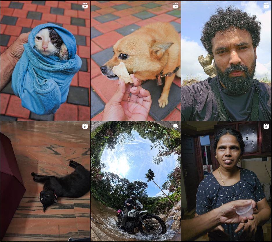 My Life with 4 Cats and 4 Dogs – As a Pet Owner and Content Creator from Kerala