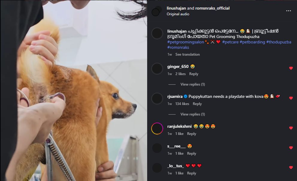 Behind the Scenes – A Fun Pet Influencer Collaboration with Roms N Raks Thodupuzha, Kerala